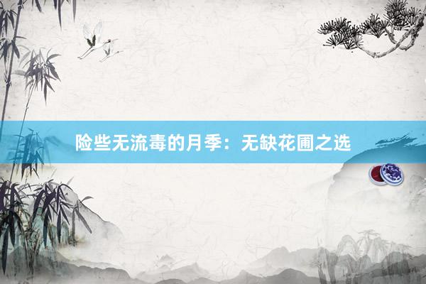 险些无流毒的月季：无缺花圃之选